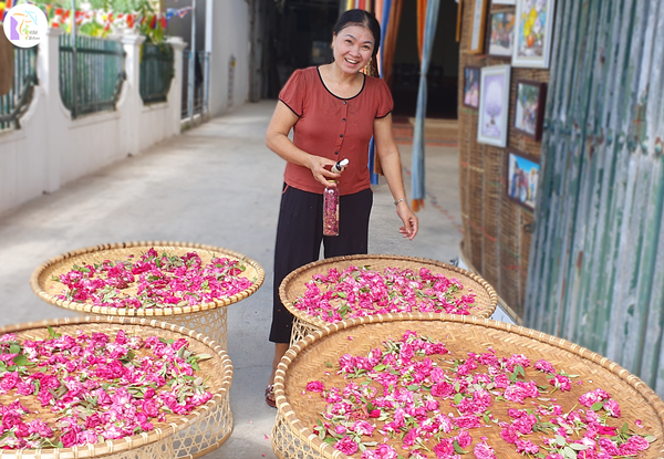 Rose Powder