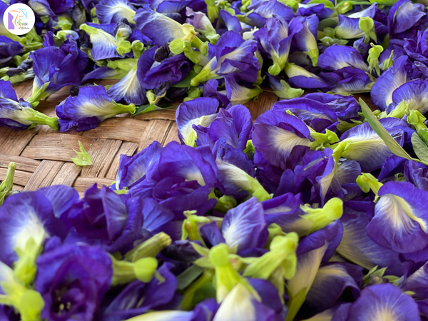 Butterfly Pea Powder