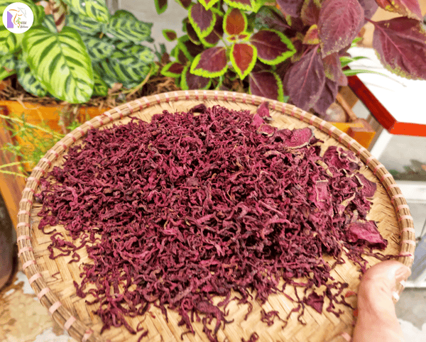 Red Beet Root Powder