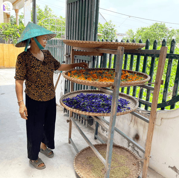 Blue Ocean Butterfly Pea Tea