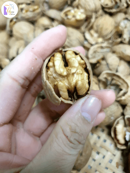 Walnuts Peeled