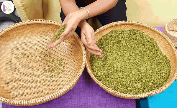 Green Mung Bean