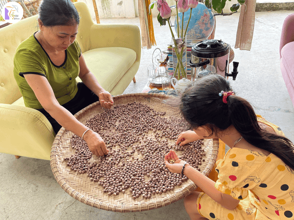 Lotus Seed Unpeeled