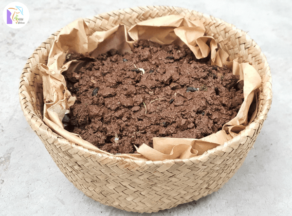 Basket Of Natural Seagrass Folds